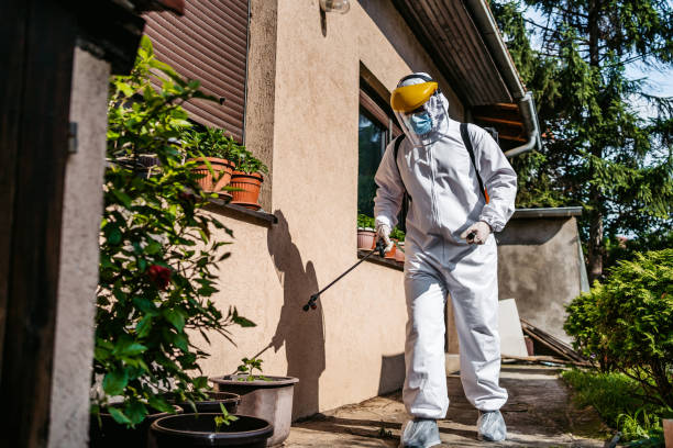 Best Insect Control  in Metuchen, NJ