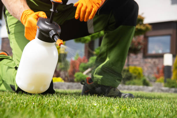 Best Pest Control Near Me  in Metuchen, NJ