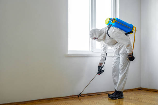 Best Pest Removal Services  in Metuchen, NJ
