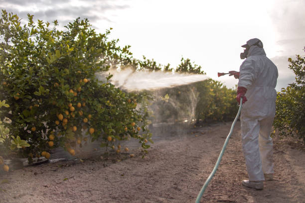 Best Best Pest Control Companies  in Metuchen, NJ