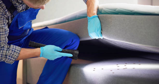 Best Commercial Pest Control Services  in Metuchen, NJ