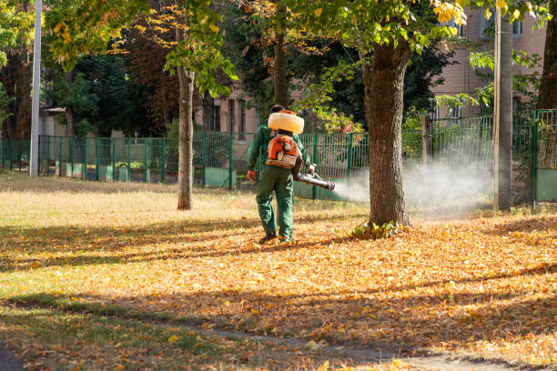 Best Best Pest Control Companies  in Metuchen, NJ