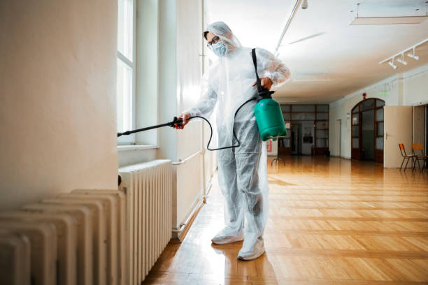 Best Local Pest Control Services  in Metuchen, NJ